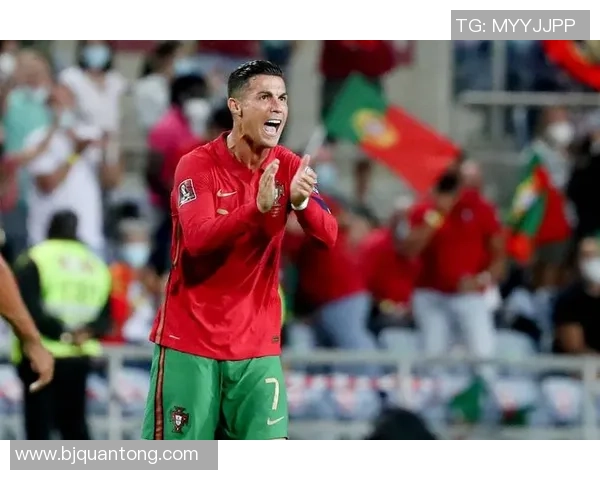 波黑足球明星的传奇之路与辉煌成就解析